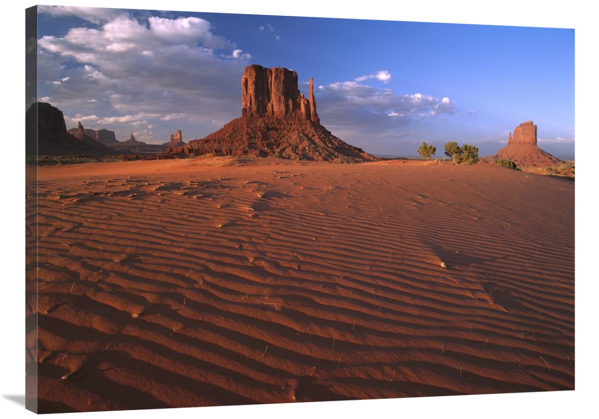 The East And West Mittens Surrounded By Rippled Sand, Monument Valley Navajo Tribal Park, Arizona-Canvas Art-40X30