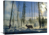 Elk Female In The Snow With Steam Rising From Nearby Hot Spring, Yellowstone National Park, Wyoming-Canvas Art-24X18