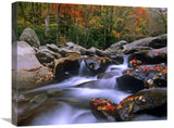 Little Pigeon River Cascading Among Rocks And Colorful Maple Leaves, Great Smoky Mountains National Park, Tennessee-Canvas Art-2