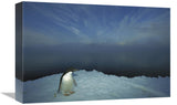 Adelie Penguin Portrait On Ice Apron, Cape Hallet, Ross Sea, Antarctica-Canvas Art-18X12