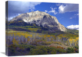 Fall Colors At Gunnison National Forest, Colorado-Canvas Art-24X18