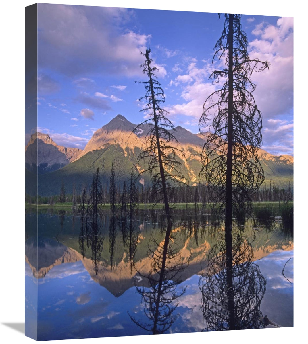 Chancellor Peak Reflected In Lake, Yoho National Park, Bc, Canada-Canvas Art-20X24