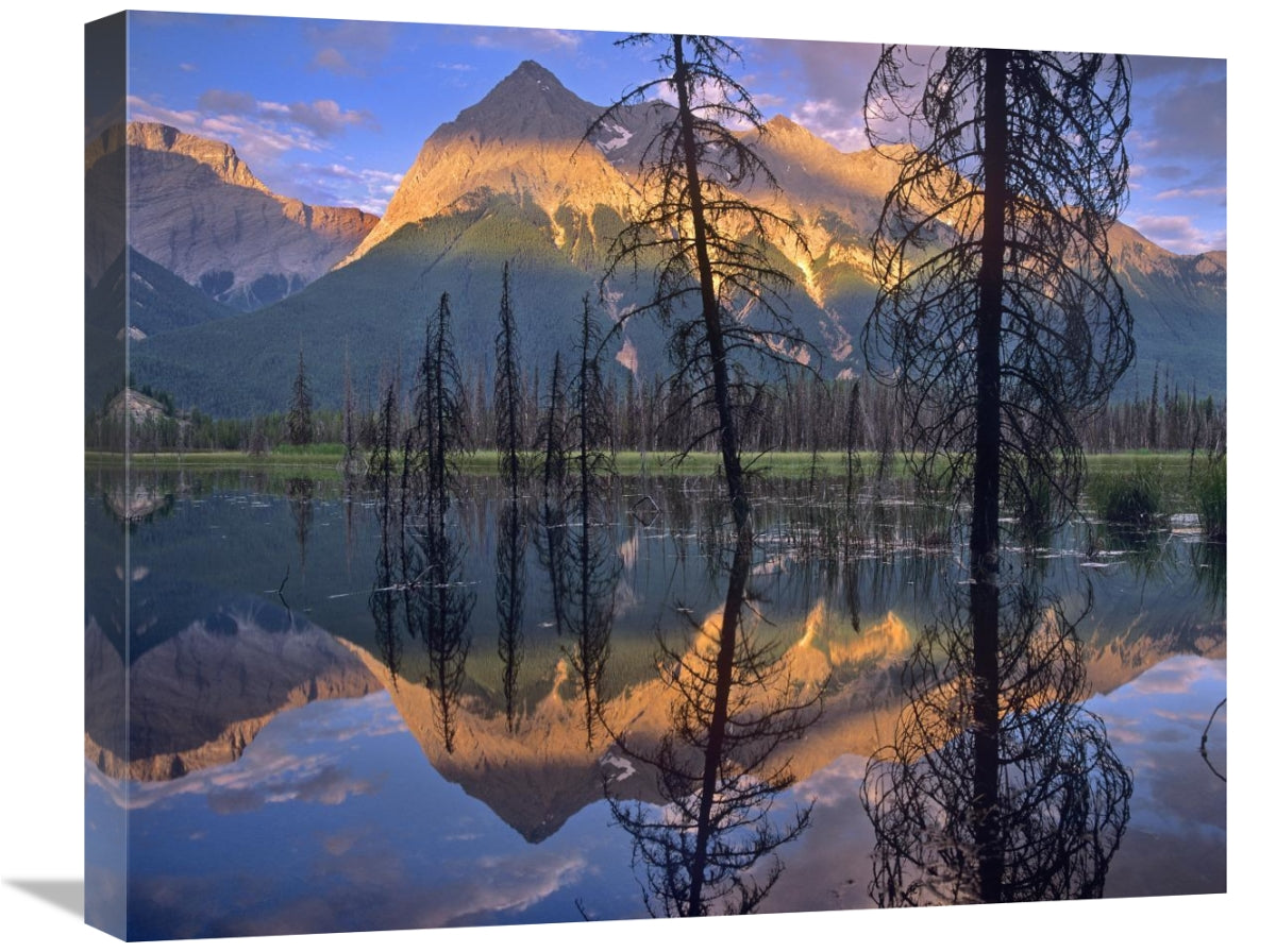 Chancellor Peak Reflected In Lake, Yoho National Park, Bc, Canada-Canvas Art-24X20
