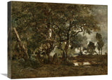 Forest Of Fontainebleau, Cluster Of Tall Trees Overlooking The Plain Of Clair-Bois At The Edge Of Bas-Breau-Canvas Art-24X18