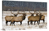 Band Of Brothers-Canvas Art-40X26.8