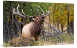 The Bugler-Canvas Art-44X28.6