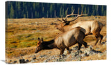 Returning To The Forest-Canvas Art-36X22.32