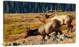 Returning To The Forest-Canvas Art-44X27.28