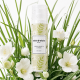 Green Grass & Jasmine Fragrance Hand Cream