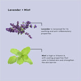 BCL Spa - Lavender + Mint - Sugar Scrub