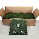 Vickerman 1.1 Lbs Bag of Green Sheet Moss, Preserved