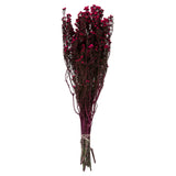 12-22 Raspberry Phylica Bundle 5Oz