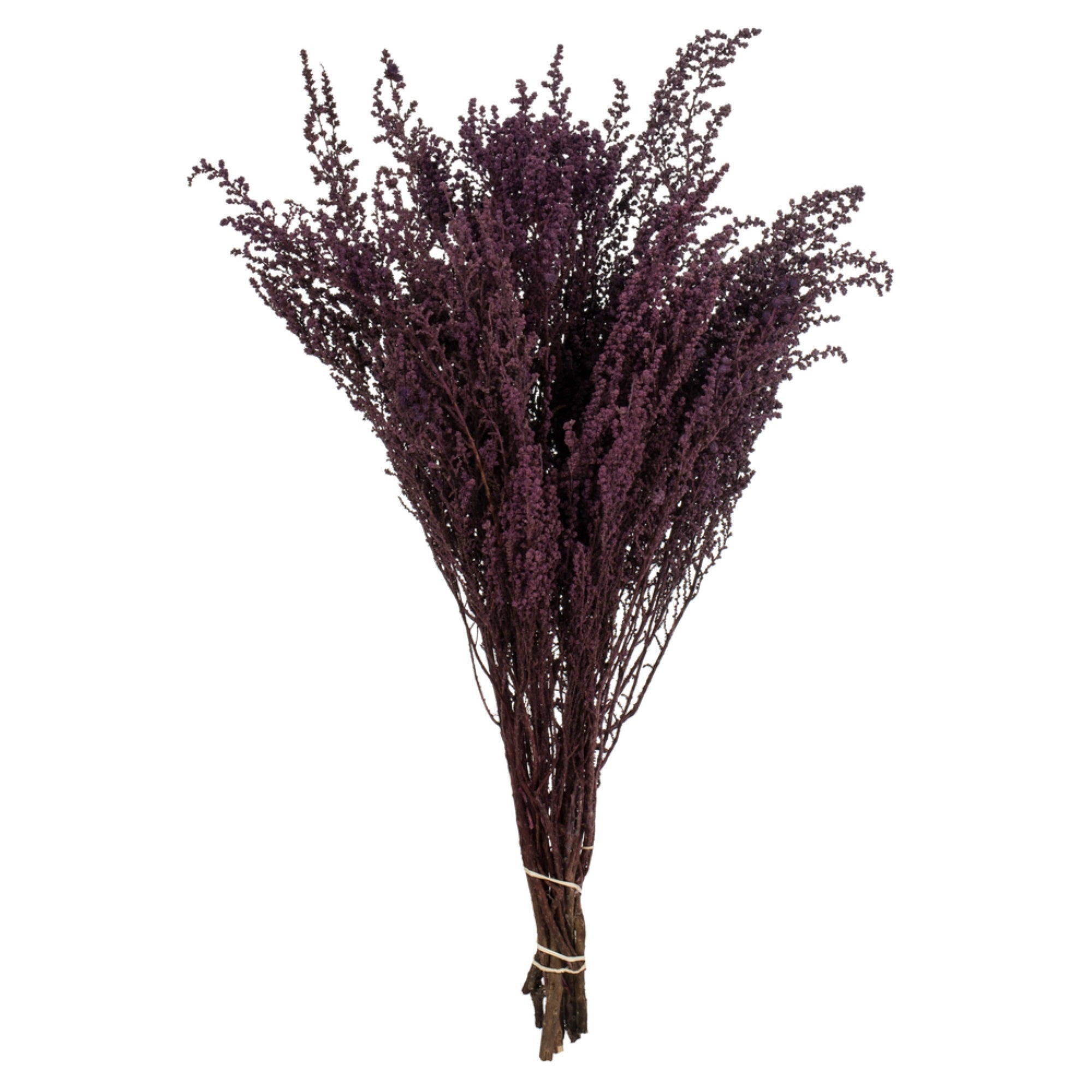 14-18 Violet Stoebe 5Oz Bundle