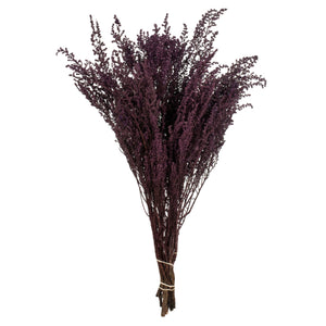 14-18 Violet Stoebe 5Oz Bundle