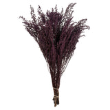 14-18 Violet Stoebe 5Oz Bundle