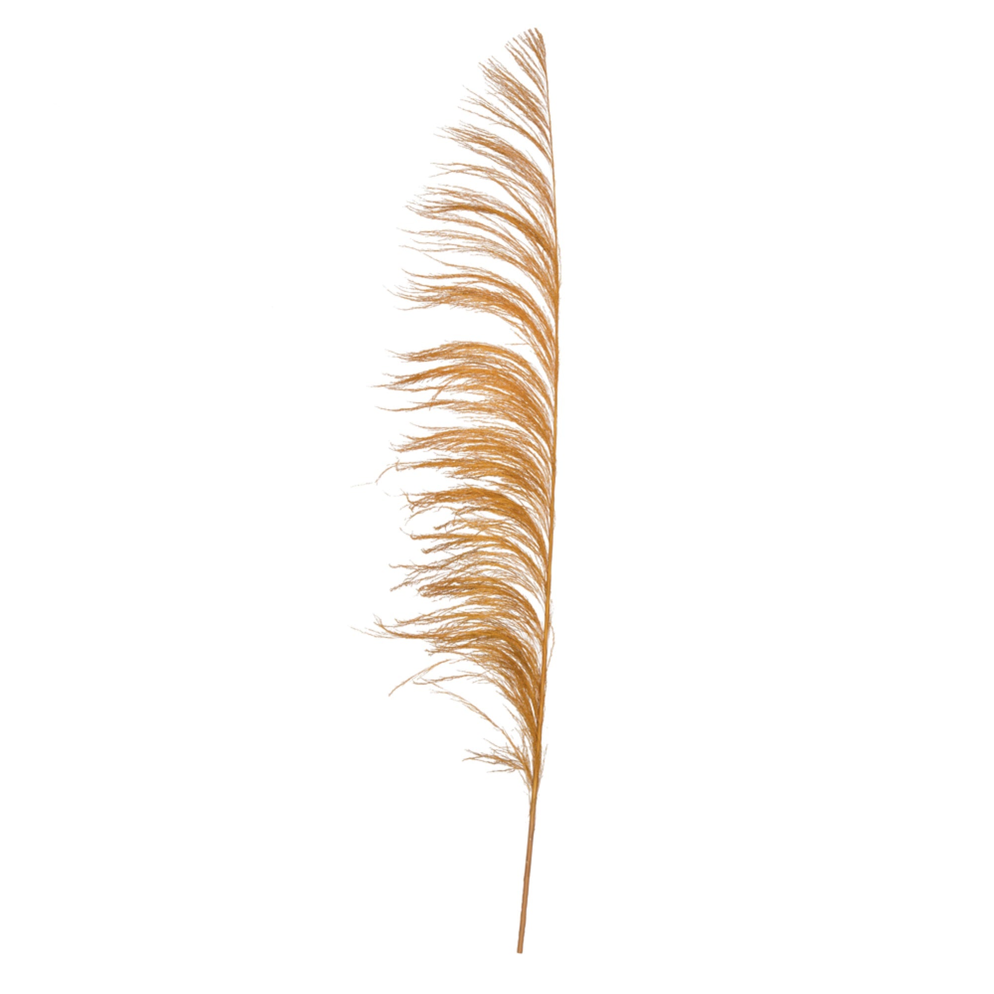 Vickerman 60-72 Aspen Gold Uva Palm Spray Standing Between 60 To 72 Inches Tall. Pack Of 10.