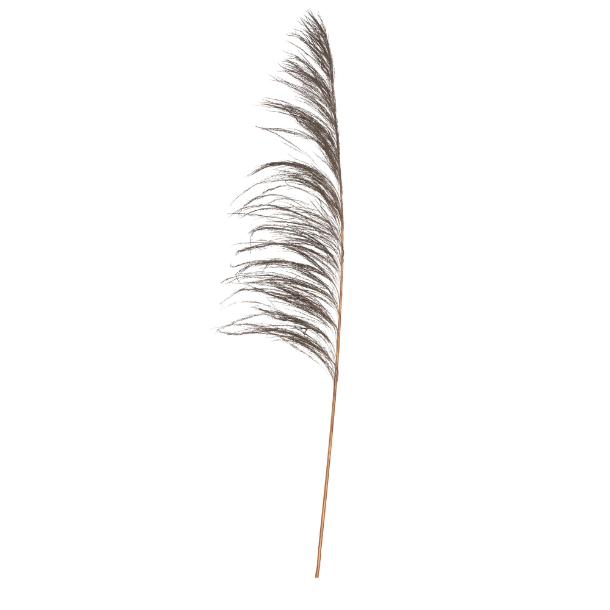 Vickerman 60-72 Mocha Uva Palm Spray Standing Between 60 To 72 Inches Tall. Pack Of 10.