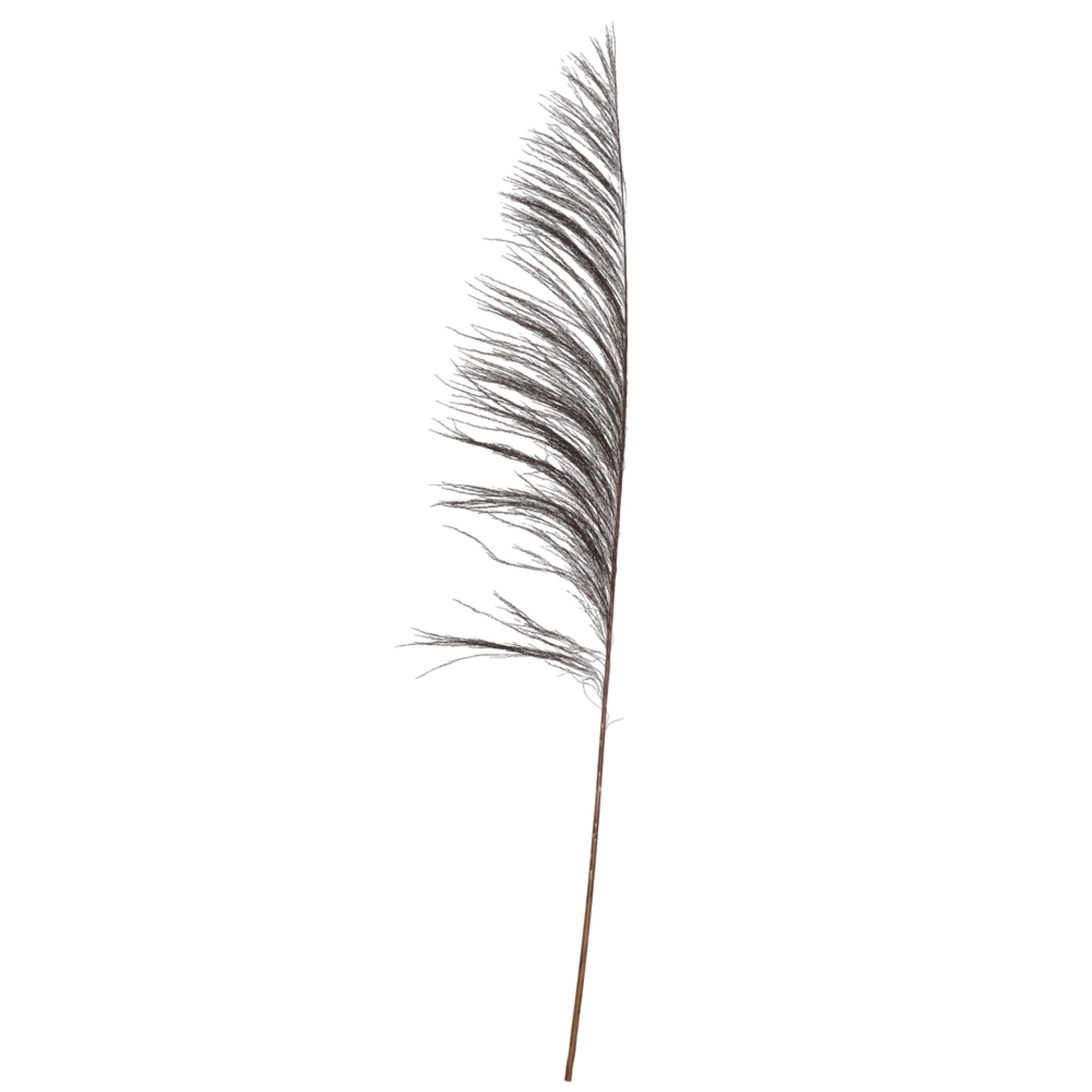 Vickerman 60-72 Black Uva Palm Spray Standing Between 60 To 72 Inches Tall. Pack Of 10.
