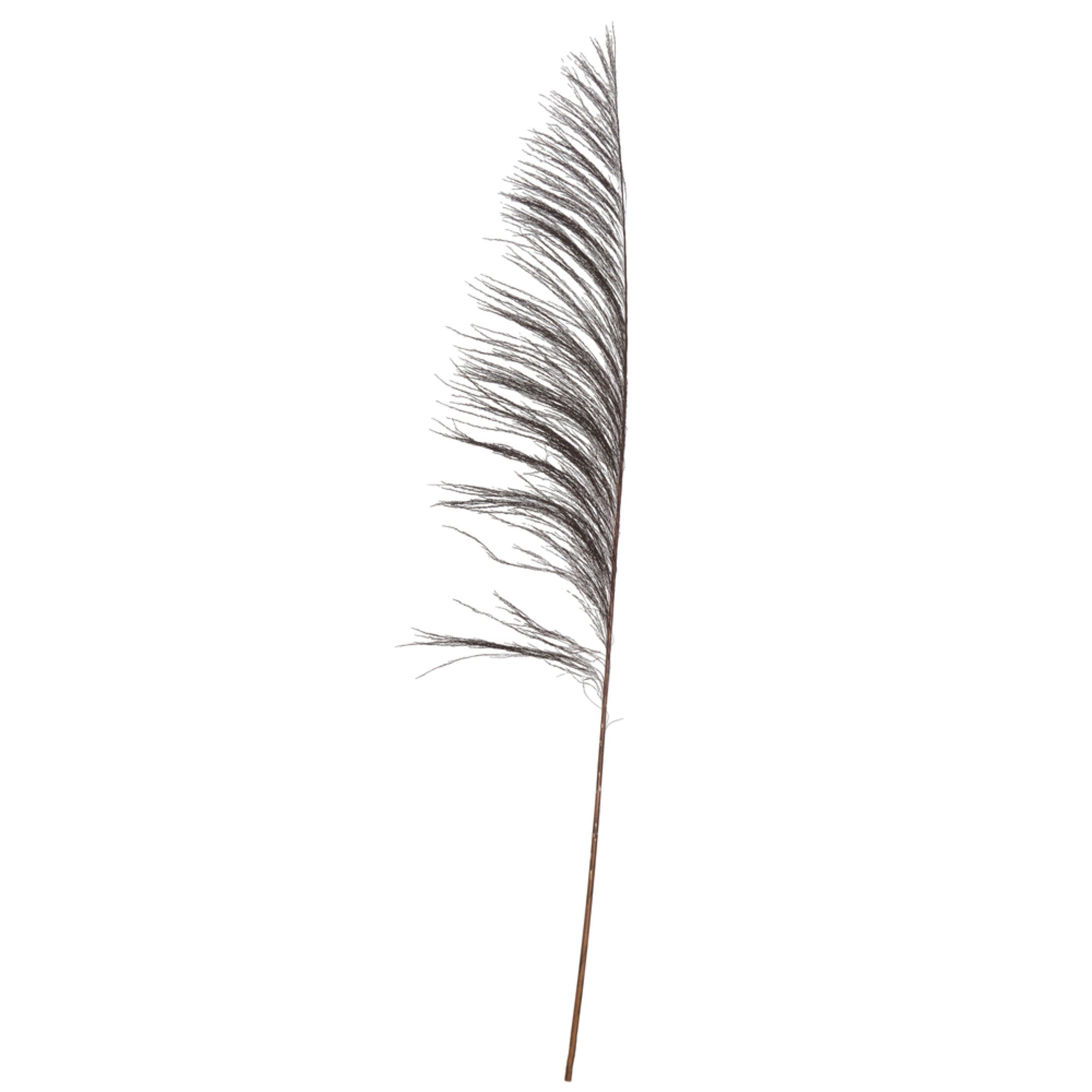 Vickerman 60-72 Black Uva Palm Spray Standing Between 60 To 72 Inches Tall. Pack Of 10.