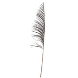 Vickerman 60-72 Black Uva Palm Spray Standing Between 60 To 72 Inches Tall. Pack Of 10.