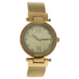 AL050004 Gold Stainless Steel Mesh Bracelet Watch by Antoneli for Women 1 Pc Watch