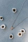 Silver Scapular