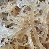 Fresh Sea Moss Soap