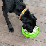 Garden Design eTray - Shallow Slow Feeder Dog Bowl for Enrichment | USA