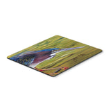 Caroline'S Treasures Green Heron Mouse Pad/Hot Pad/Trivet (Jmk1016Mp)
