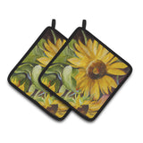 Caroline'S Treasures Sunflowers Pair Of Pot Holders Jmk1265Pthd, 7.5Hx7.5W, Multicolor
