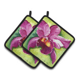 Caroline'S Treasures Orchid Pair Of Pot Holders Jmk1270Pthd, 7.5Hx7.5W, Multicolor