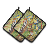 Caroline'S Treasures Parrots Pair Of Pot Holders Jmk1281Pthd, 7.5Hx7.5W, Multicolor
