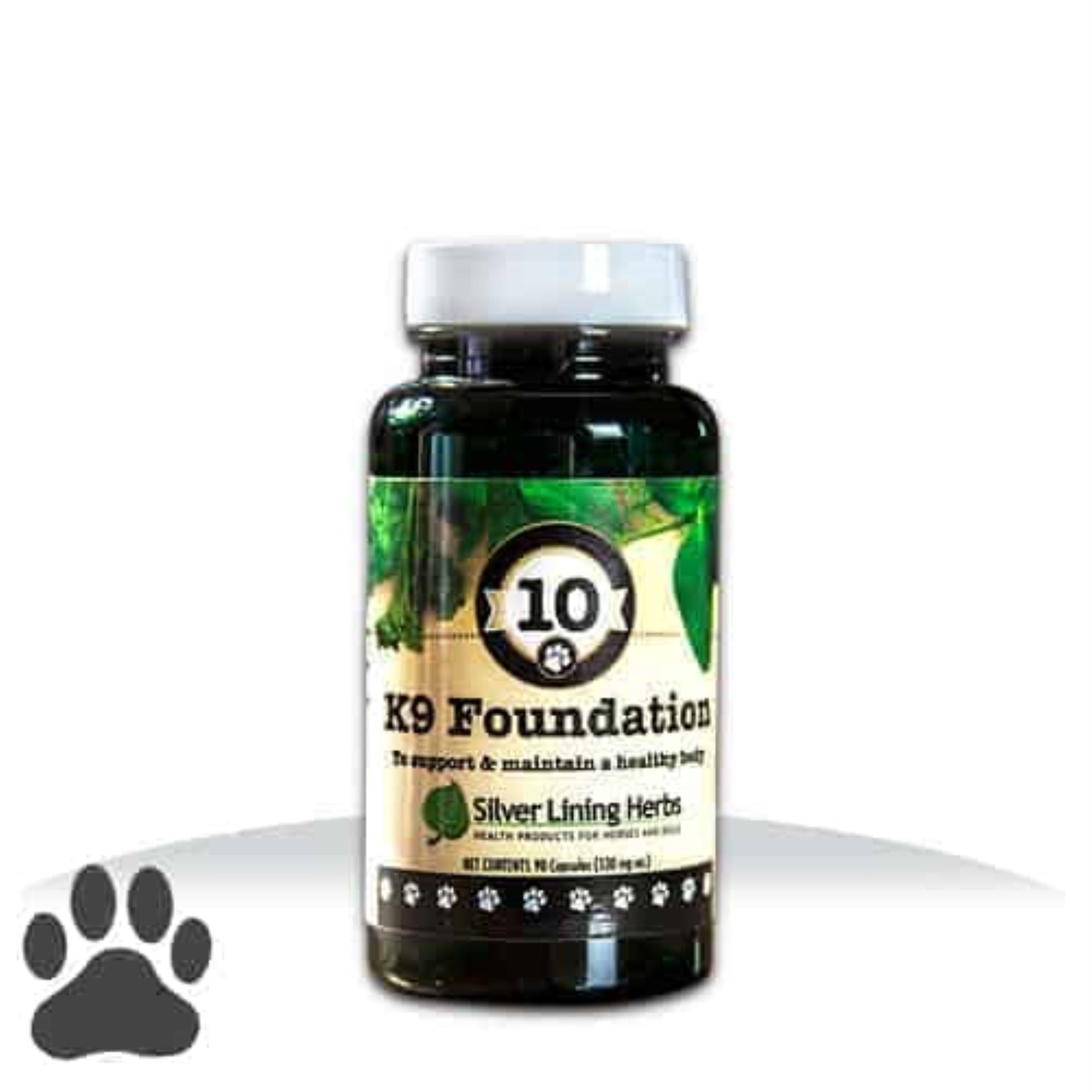 #10 K9 Foundation