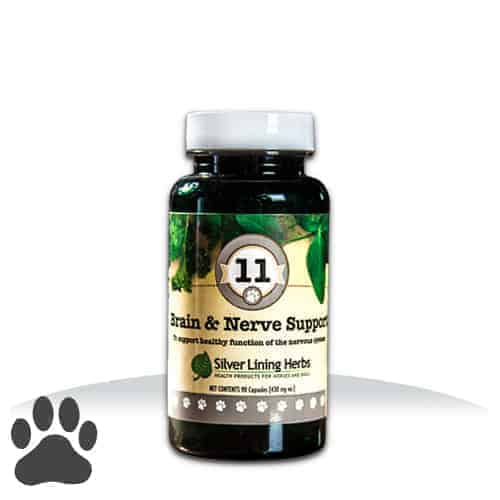 #11 Brain & Nerve Support