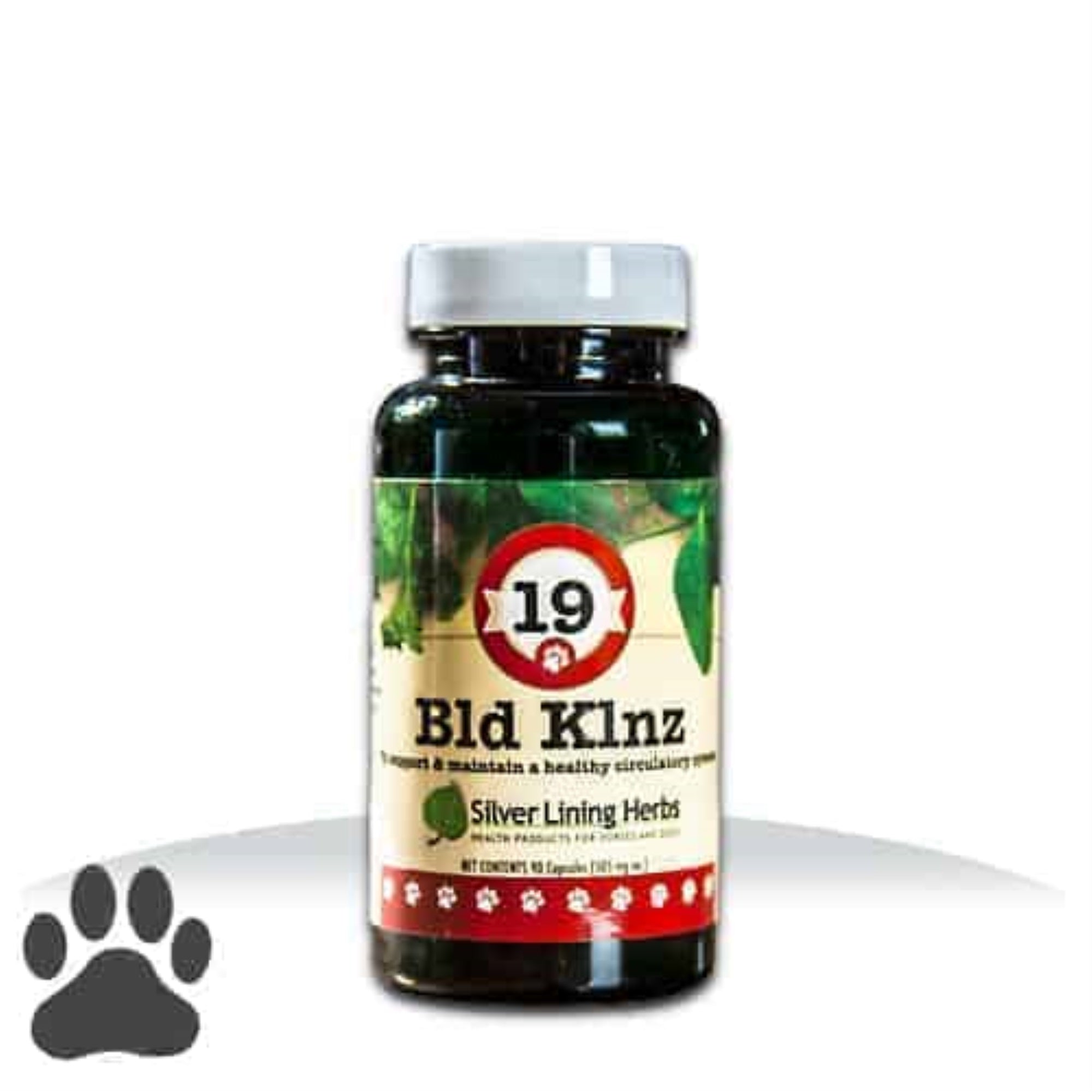 #19 Bld Klnz