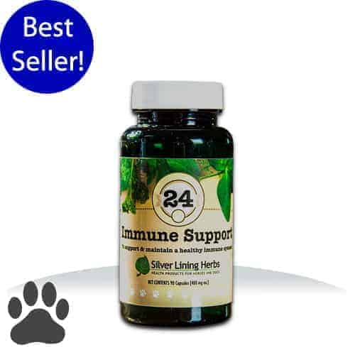 #24 Immune Support