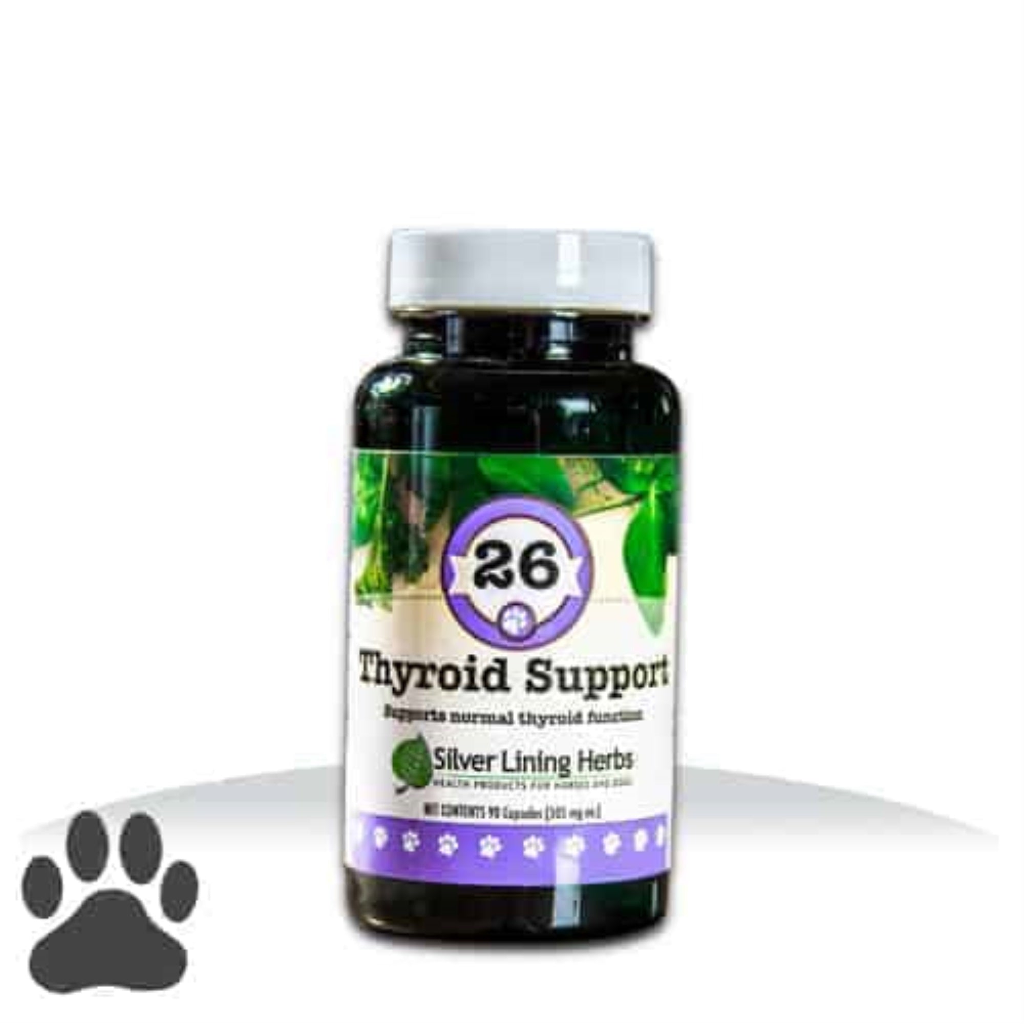 #26 Thyroid