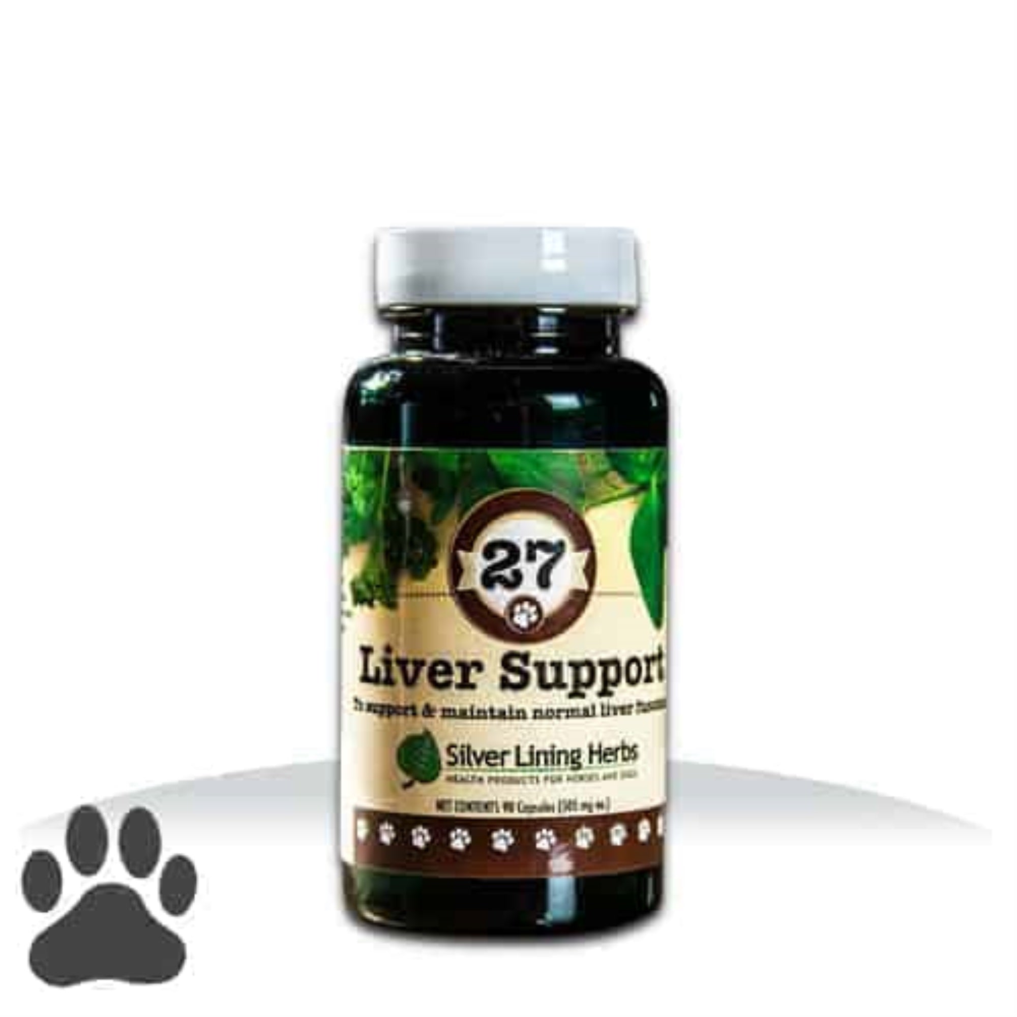 #27 Liver Support