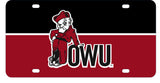 Ohio Wesleyan University Metal License Plate