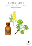 Baobab Collection Lucky Love Candle