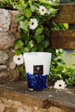 Baobab Feathers Touareg Candle