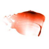 Mo-Jelly | Blush + Lip Tint