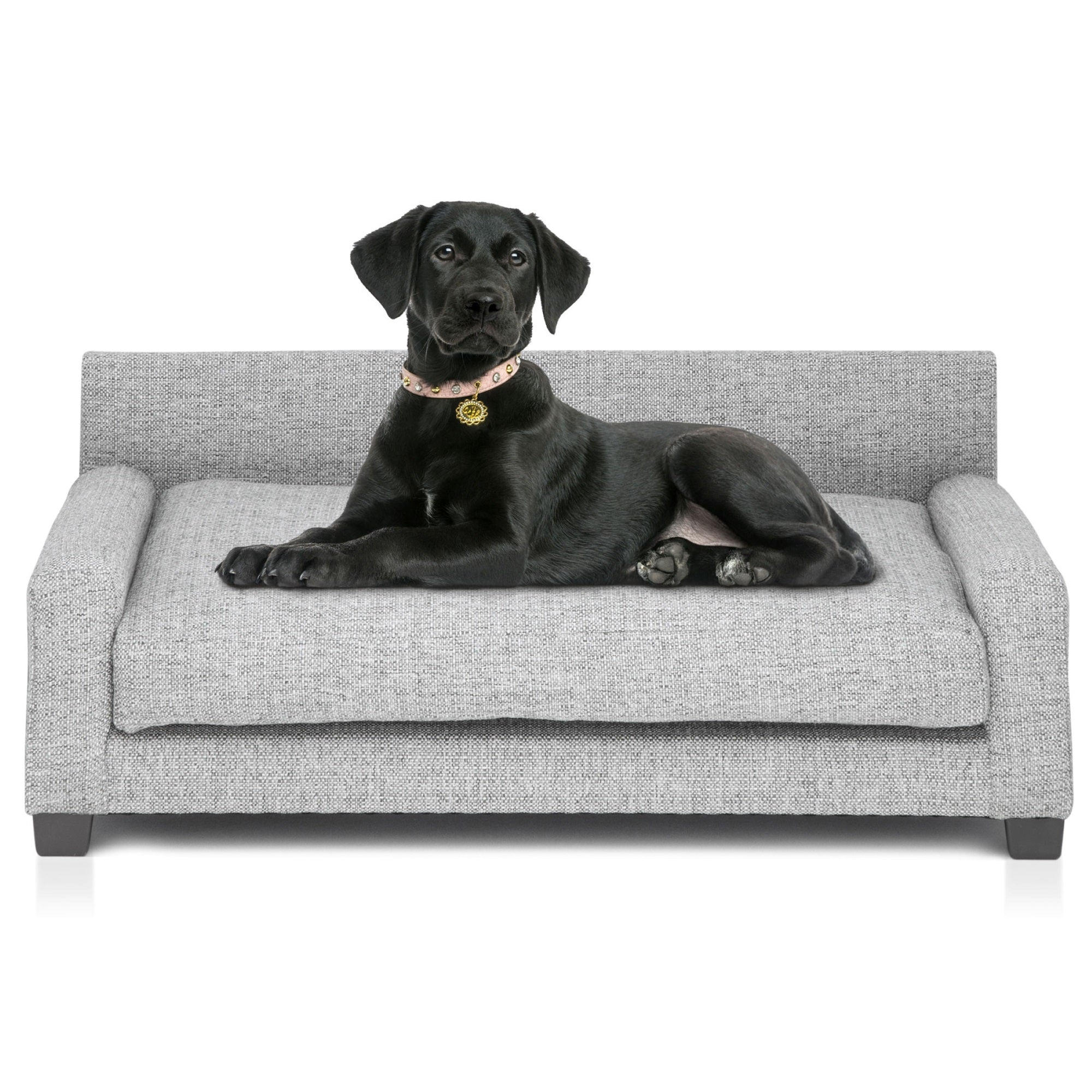 Club Nine Pets Metro Orthopedic Dog Bed, Large, Metal