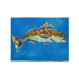 Caroline'S Treasures Mw1098Plmt Fish-Red Fish Seafood Two Fabric Placemat, Multicolor