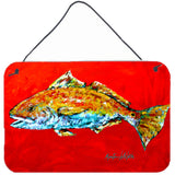 Caroline'S Treasures Fish-Red Fish Red Head Aluminum Metal Wall Or Door Hanging Prints, 8 X 12