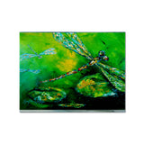 Caroline'S Treasures Mw1114Plmt Dragonfly Summer Flies Fabric Placemat, Multicolor