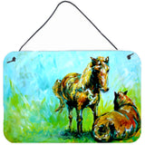 Caroline'S Treasures Horse Grazin Aluminum Metal Wall Or Door Hanging Prints, 8 X 12