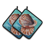 Caroline'S Treasures Shells Not In A Row Pair Of Pot Holders Mw1147Pthd, 7.5Hx7.5W, Multicolor