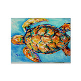 Caroline'S Treasures Mw1150Plmt Sand Dance Turtle Fabric Placemat, Multicolor
