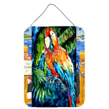 Caroline'S Treasures Yo Yo Mama Parrot Wall Or Door Hanging Prints, 16 X 12